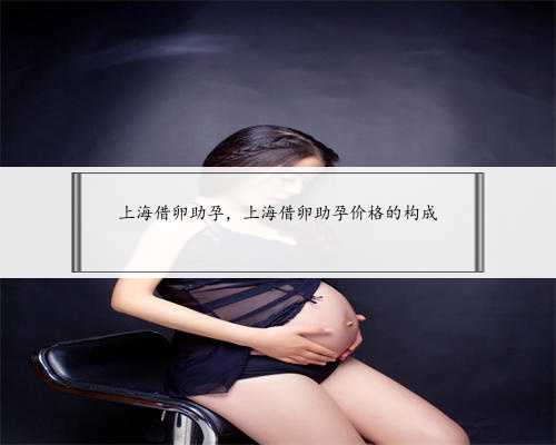 上海借卵助孕，上海借卵助孕价格的构成