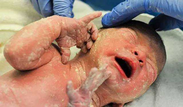 上海代孕-上海代孕妈妈的价钱-上海全包代孕试管婴儿