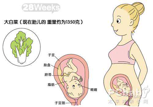 上海代孕咨询_上海助孕开出生证明_上海代生费用多少合适