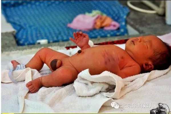 上海代孕~上海全包代妈价格表~上海合法代孕大约多少钱