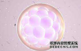 43岁供卵怀孕孩子会正常吗,浙江宁波43岁客户借卵做供卵试管成功怀孕生子