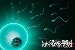 杭州代孕靠谱吗_试管婴儿移植手术是否成功的关键是什么