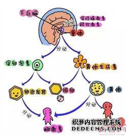 北京供卵助孕成功率_「孕产」试管婴儿刚移植后的注意事项