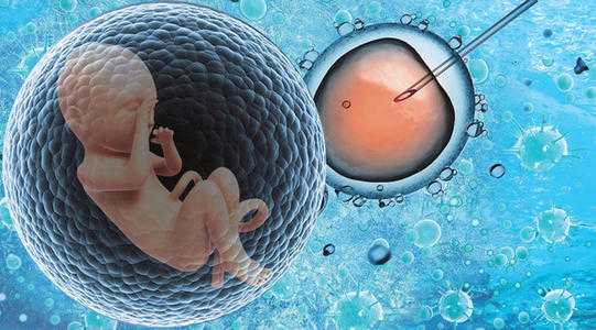 心悦代孕中心_试管婴儿胚胎植入为什么会失败？