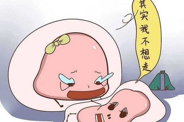 银川供卵试管婴儿中介,银川市兴庆区哪里能做试管婴儿？