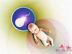 广州试管可以代孕吗，广州捐卵试管代孕医院排名，附捐卵试管费用明细！