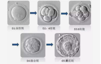 深圳供卵的详细流程，深圳市妇幼保健院第三代试管供卵包生男孩价格多少